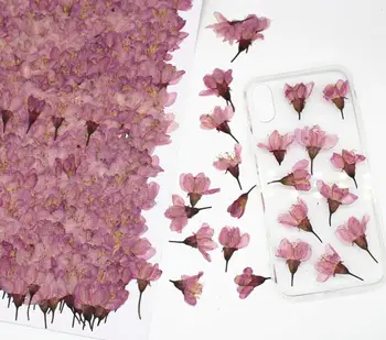 250pcs Préselt, Szárított Cseresznye virágok Sakura Virág, Herbárium A Epoxi Gyanta Ékszer Készítés Arc Smink, Köröm DIY