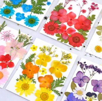 DIY Szárított Virágok Gyanta Penész Tömések UV Expoxy Virág Nail Art Préselt Virágok lakberendezés Kézműves