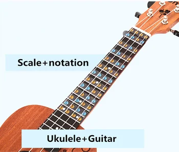 Gitár Ukulele Fogólap Megjegyzés Matrica Fingerboard Skála Jelölés Ukelele Guitarra Alkatrészek Kezdő Gyorsabban Tanulni Zeneelmélet