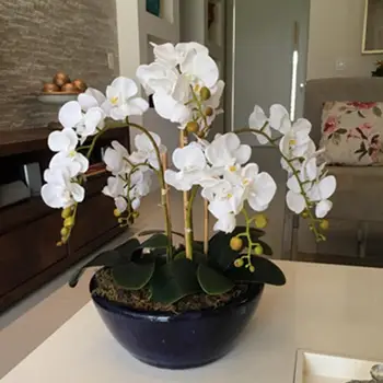 INDIGO - Phalaenopsis Fehér Pillangó Orchidea Igazi Kapcsolatot Mesterséges Virág Hivatal Esküvői Lepke Orchidea Virág Párt Belső Berendezés