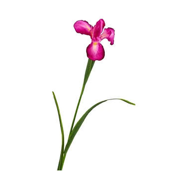 Mesterséges Iris Kezét Csokor Virág, Orchidea Hamis Virág Nappali, Hálószoba Haza Fotózás, Esküvői Buli, Virág Dekoráció