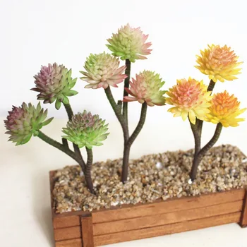 Mini Mesterséges Szépségnek Kaktusz Növény Hamis Zamatos Igazi Kapcsolatot Palm Bonsai Táj Dekoratív Virág a Haza Asztal dekoráció