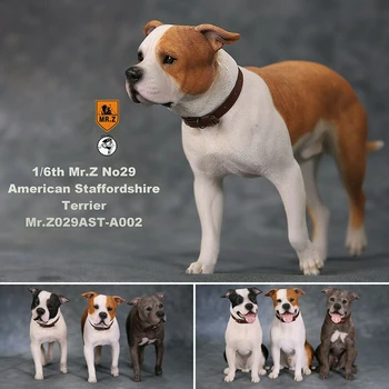Mr Z Stúdió 1:6 Amerikai Staffordshire Terrier Kutya Pet Gyógyító Ábra Canidae Állat Modell Játék Collector Asztali Dekoráció Felnőtt